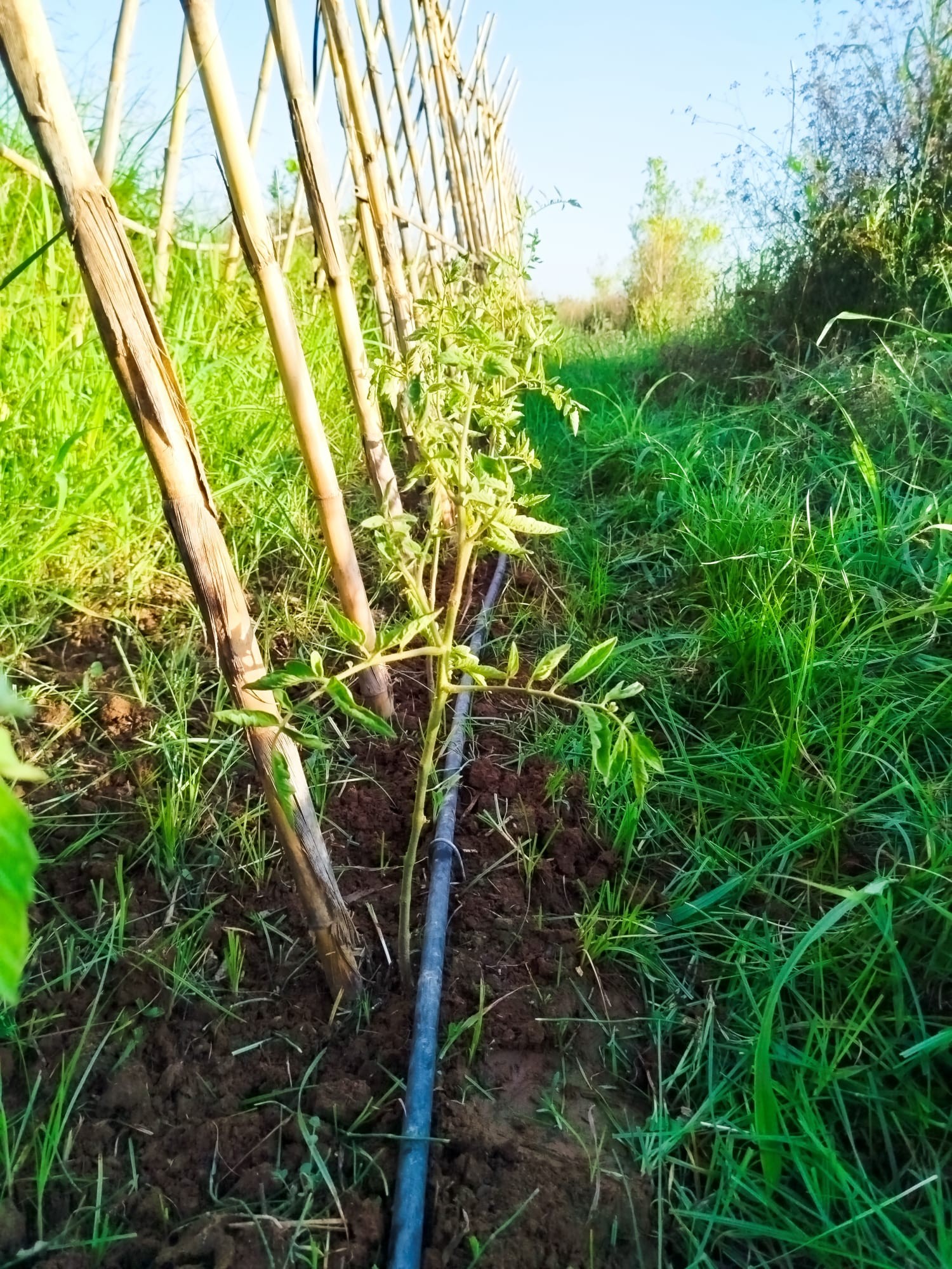 Nuestro compromiso con la tierra